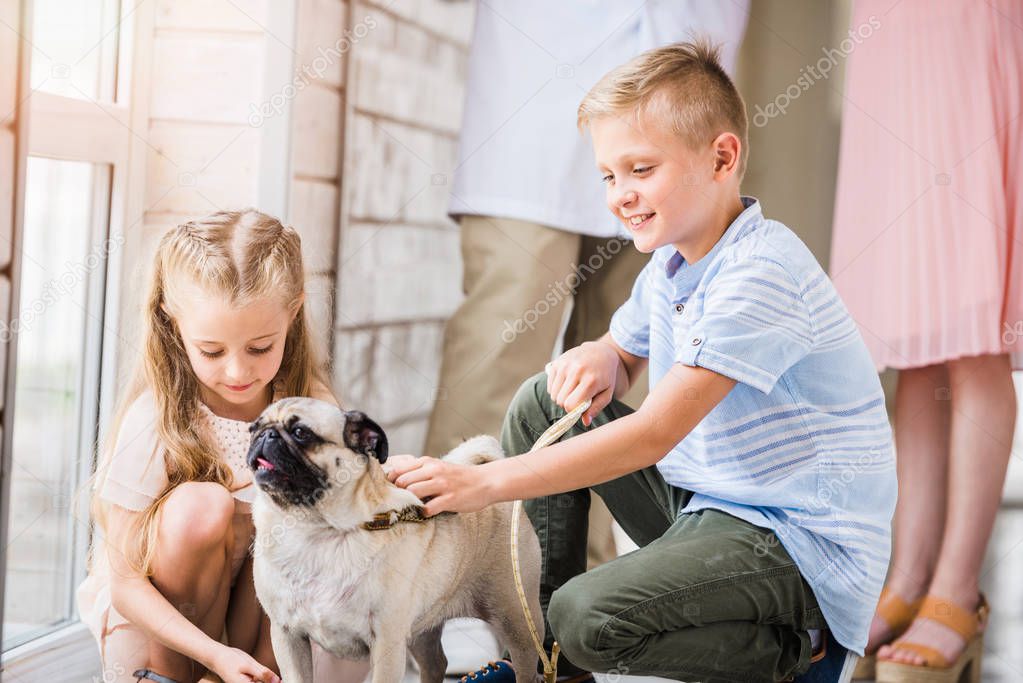 Cane in rifugio in attesa di adozione