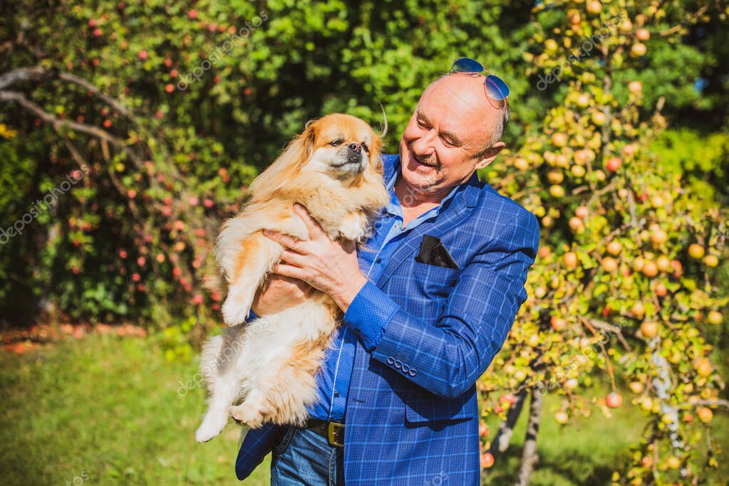 Cane anziano riposa su una coperta