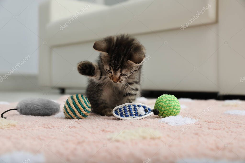 Gattina che gioca con una cannetta