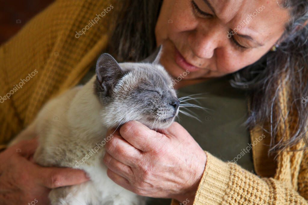 Gatto anziano rilassato su una coperta